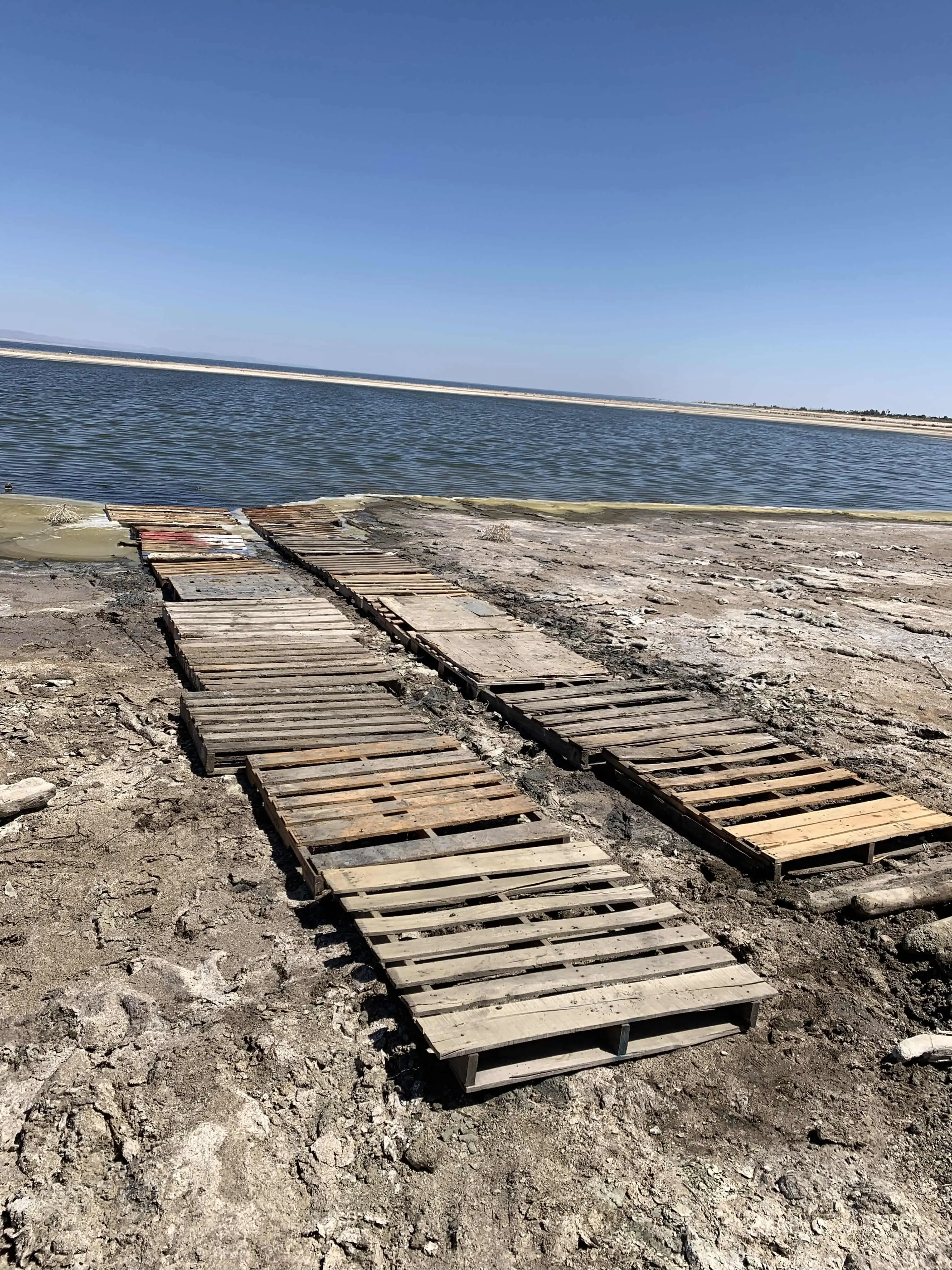 Improvised pier at the Salton Sea made of wooden pallets